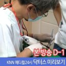 닥터스치과의원 이미지