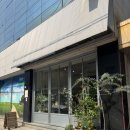 3933 | 장안동 꽃집 추천 샤이닝블룸플라워 재방문 꽃다발 내돈내산 후기