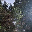 신성게임랜드(일-45) | 치앙마이 도이수텝 야경투어 썽태우 흥정해서 다녀온 후기※긴글주의※