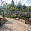 함태초교 이미지