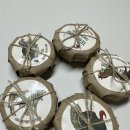 프랑테리 펫푸드 | 강아지화식 / 강아지 수제간식 :: 프랑테리펫푸드 테리린 5종 후기