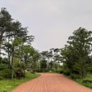 물빛공원 농구장 이미지