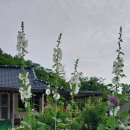 꽃향기머무는집 이미지