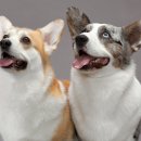 People Who Lost Love 이미지