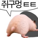 오월의 왁싱