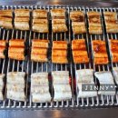 일루장어 이미지