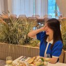 킹스타 | 인스타팔로워늘리기 팔로우킹 킹스타그램 이용후기