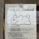 카페위아 이미지