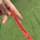 푸르미르 | 2025년내돈내산 푸르미르호텔수영장후기