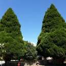 유안의료기 | 838호 캐나다 &amp; 미국 문학기행 1일차