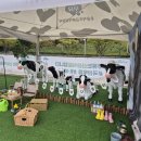 동편목장 이미지