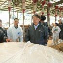 공주한우 충청시사신문