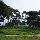 대농리마을회관 이미지