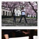 스텝업트레이닝 이미지