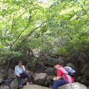 체육회관길 이미지