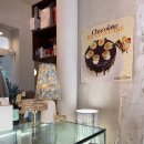 봉산동 강아지 이미지