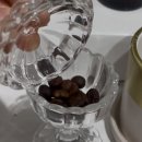 센트 모모 (SCENT M.O.M.O.)