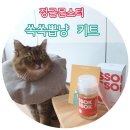 뽑냥 | 정글몬스터 쏙쏙뽑냥 키트 체험단 후기!