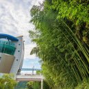 십리대밭교 화장실 이미지