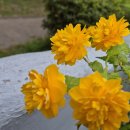 경상오토밋션 이미지