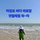 태안안면도아이랑키즈독채오션뷰풀빌라 이미지