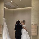 라스포사웨딩 | W15. 창원 그랜드머큐어 결혼식 드레스 투어 ㅣ 라스포사, 스텔라(로즈로사, 엔조최재훈), 부산 루나스포사