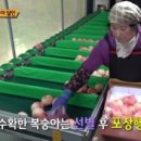 에덴과수원