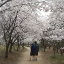 영종도2차 풍림아이원1단지 네이버블로그