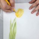 보태니컬&팝아트 이미지