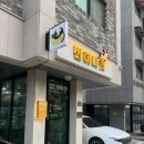 일산고양이분양&미용 반하나캣 이미지