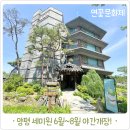 세미원 | 양평 세미원 솔직후기, 2026 연꽃축제 야간개장 꿀팁