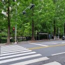 월영연못공원 이미지