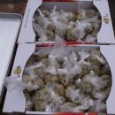 송라면사무소 이미지