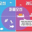 오션 - 부산진구 진연로 29-2 | 오션