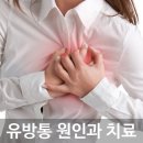 황미진유외과의원 네이버블로그