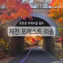 부부의 세계 | 포레스트 리솜 부부의 세계 포토존 부대시설 단락사진관 마묵라운지 오락실 정보