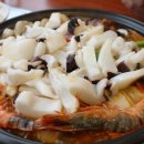 조가네갑오징어 이미지