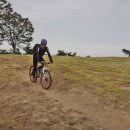 부여(임천)-14 이미지