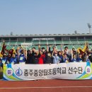 충주중앙탑초등학교 이미지