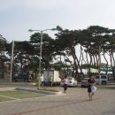 모항해수욕장 이미지