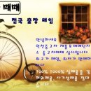 다해드림모터스 이미지