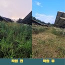 가연 태양광발전소 이미지