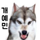 닥터호오 동물병원 네이버블로그