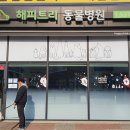 해피트리동물병원