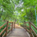 서농동게이트볼장 이미지