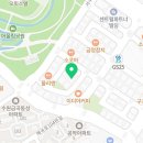 도그스타 금곡점 네이버블로그