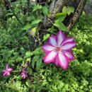 행복한밥상 이미지