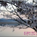 낙동식당 이미지