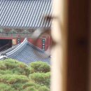 사론