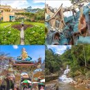 뉴알프스 관광 모텔 | 나트랑 자유여행 패키지 베트남 달랏 여행 당일